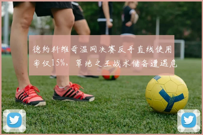 德约科维奇温网决赛反手直线使用率仅15%，草地之王战术储备遭遇危机？